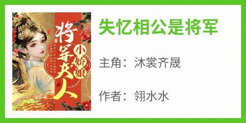 失忆相公是将军