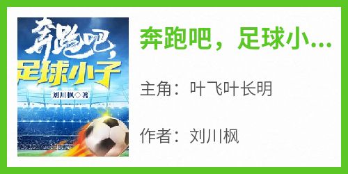 新书推荐《奔跑吧，足球小子！》完整版小说-叶飞叶长明最新章节阅读