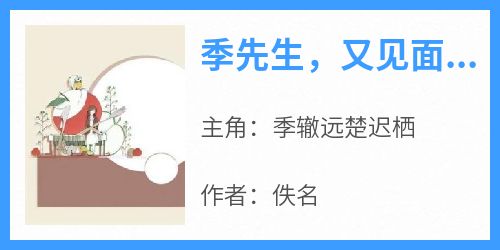 佚名写的小说《季先生，又见面了》季辙远楚迟栖全文阅读